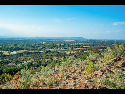 Lote_018