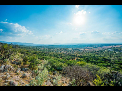 Lote_012