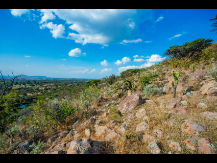 Lote_015