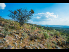 Lote_016