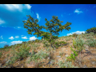Lote_017