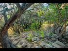 Lote_005