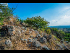 Lote_010