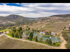 8603_11_viedo_san_miguel_lot_5