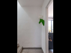 8877_16_casa_olivier