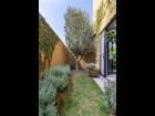 8877_7_casa_olivier