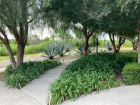 image00003
