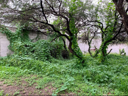 IMG_1844