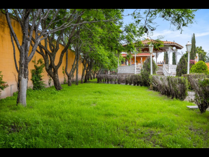 Lote_014