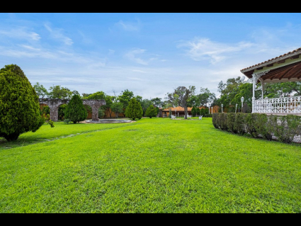 Lote_010