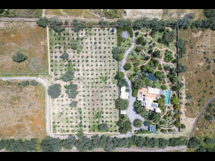 DJI_0916-Editar