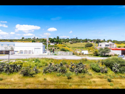 Lote_010