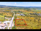 Lote_005