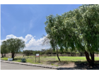 Campanas_3